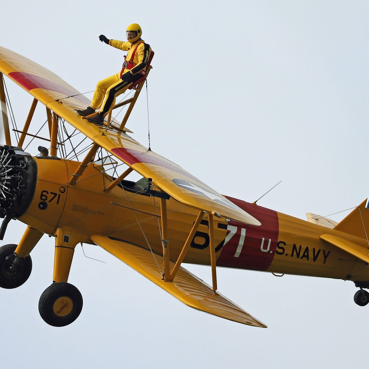 Wing Walk